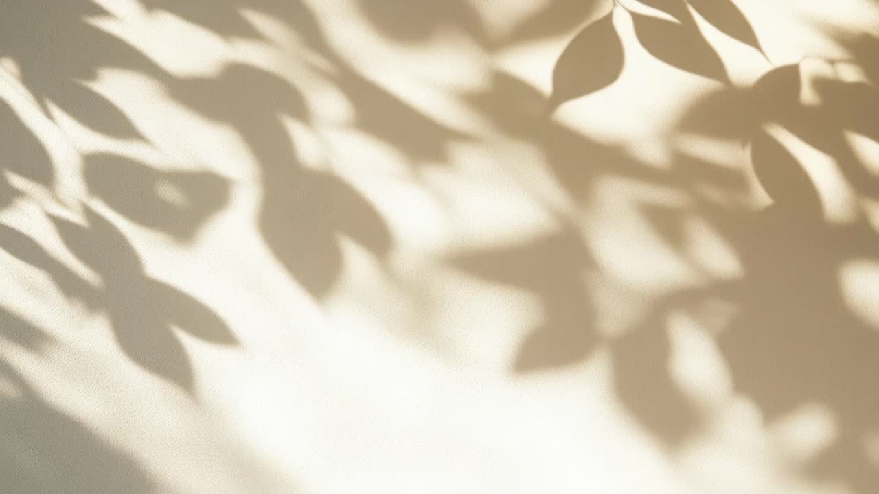 Soft focus video of leaf shadows on a beige wall, captured from a side angle, creating a calming