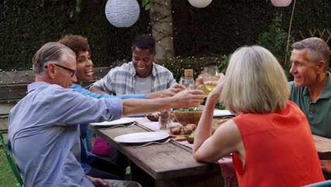 mature friends enjoying outdoor meal in backyard shot on r3d