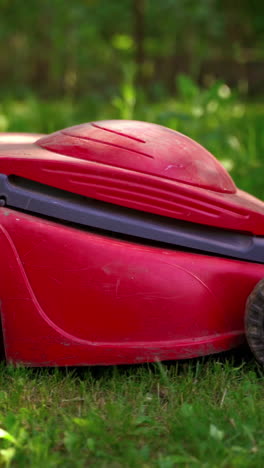 grass trimming with electric lawn mower. mowing the lawn grass in the garden. garden work in summertime. vertical video