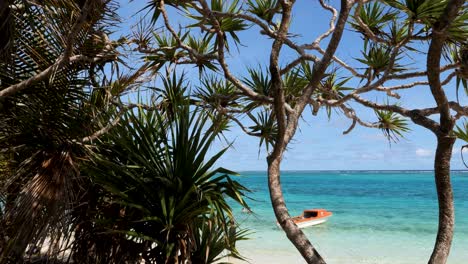 beautiful exotic island of mystery island (inyeug), vanuatu.