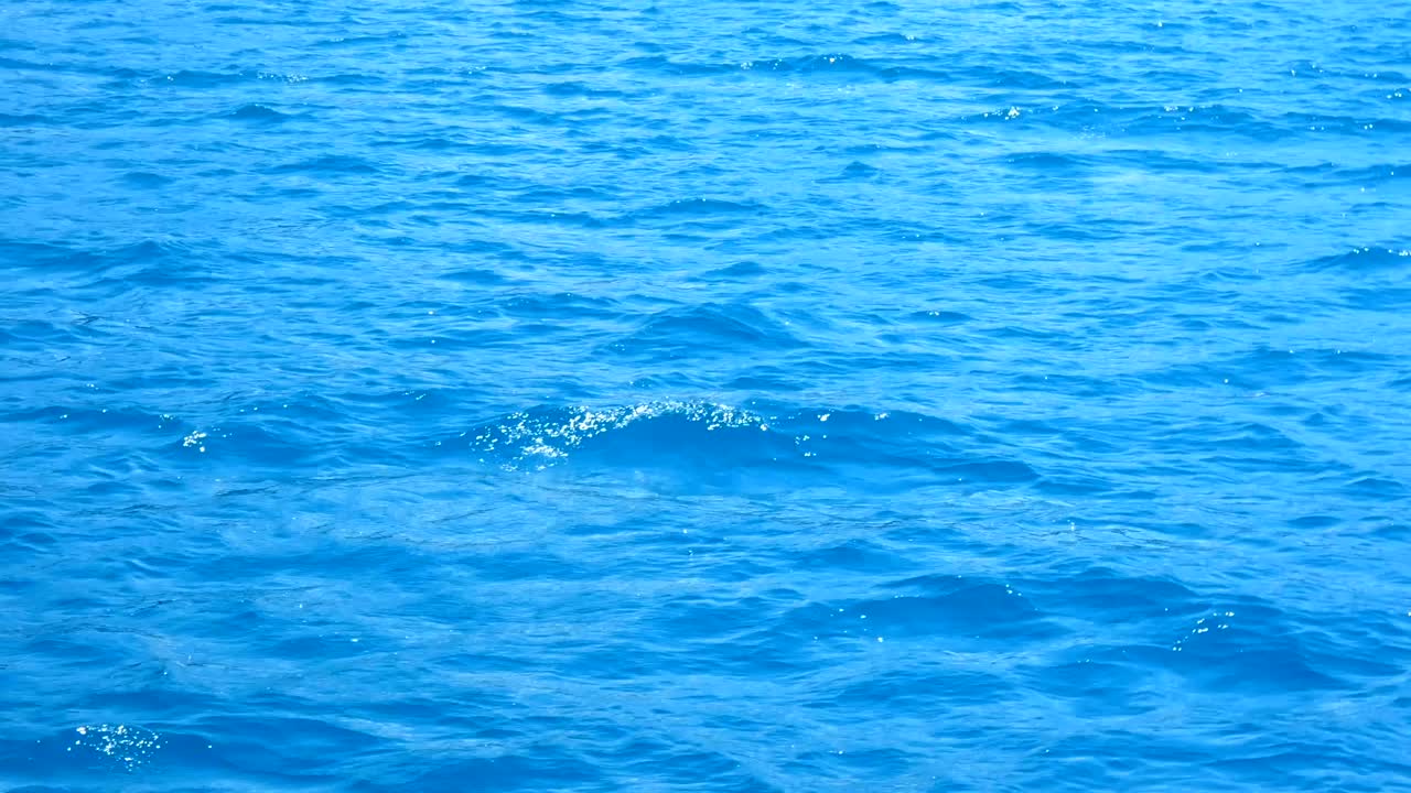 바물 표면: 매 없는 루프