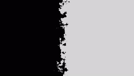 background video of a contrast black and white frame split in half with animated paint texture