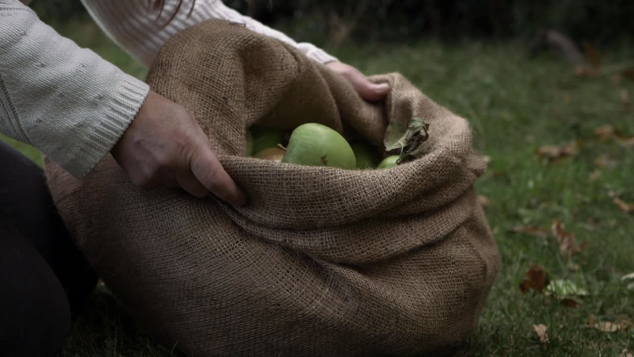 Frau mit Jutesack voller reifer grüner Äpfel, halbnahe Einstellung