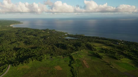 lush forest trees at the shores of timbaan municipality of san andres, province of catanduanes, philippines. aerial shot