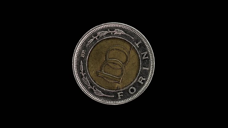 Hungary 100 forint 1996 reverse with denomination in wreath macro loop on black background