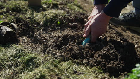 slow-motion of a woman digging up the ground to plant vegetables