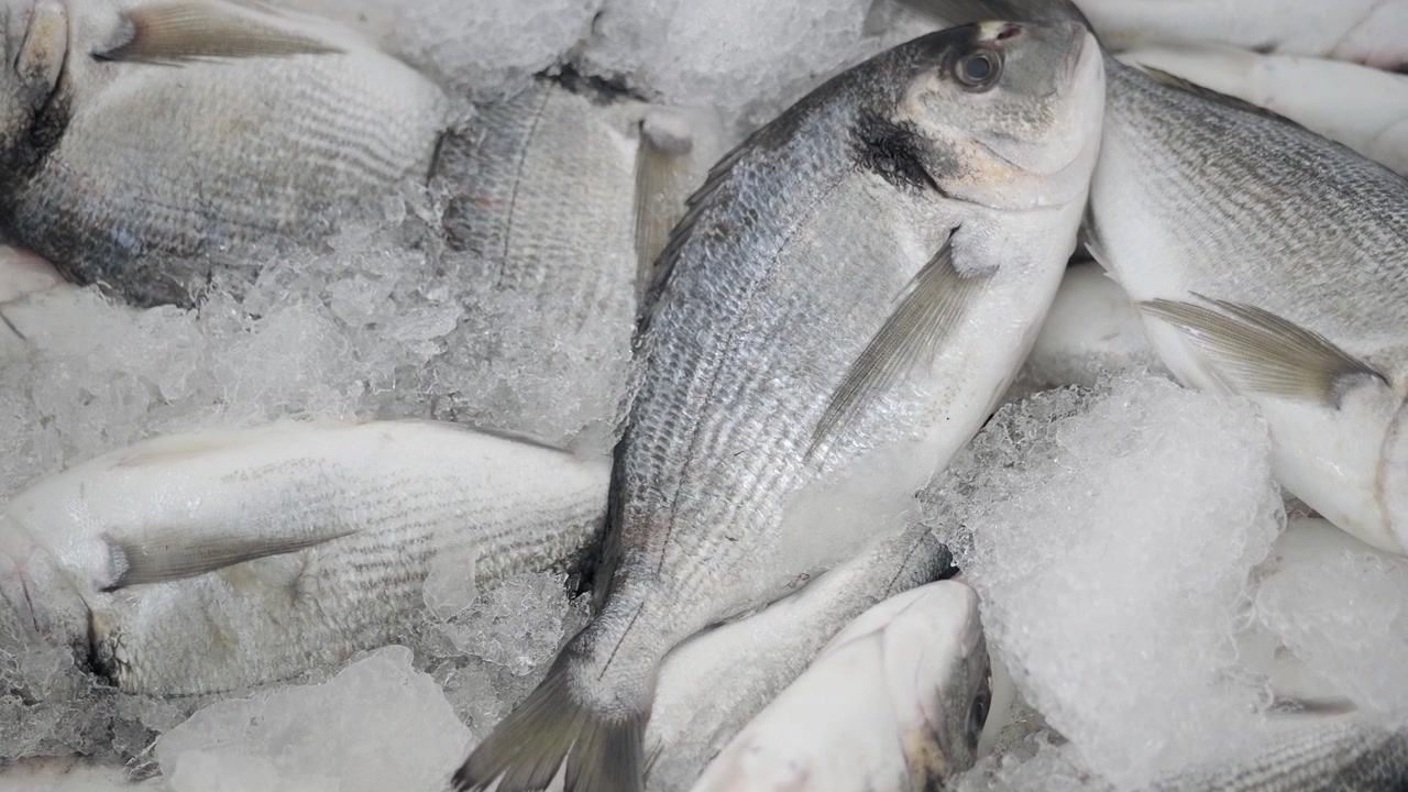 Peixe Dourada Fresco no Gelo em uma Exposição de Mercado