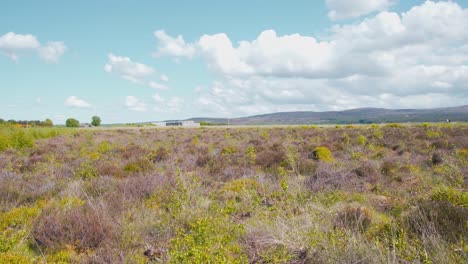 Grassy-thistle-plain-of-Culloden-Battlefield-on-sunny-day,-Scotland