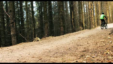 mountain biker riding bicycle in forest