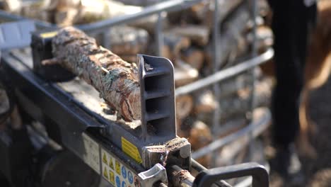 static close up, wooden log splits in half, wood cutting machine chops timber log, shallow depth of field