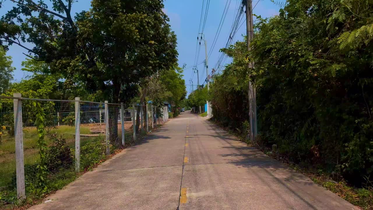 Dirigindo por uma Estrada Rural Tranquila Ladeada por Árvores Tropicais.