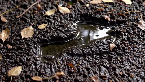 muddy footprint in the ground