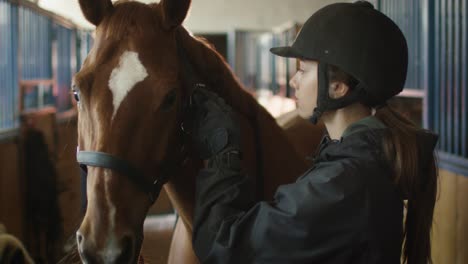 young jockey girl is brushing a brown horse in a stable.