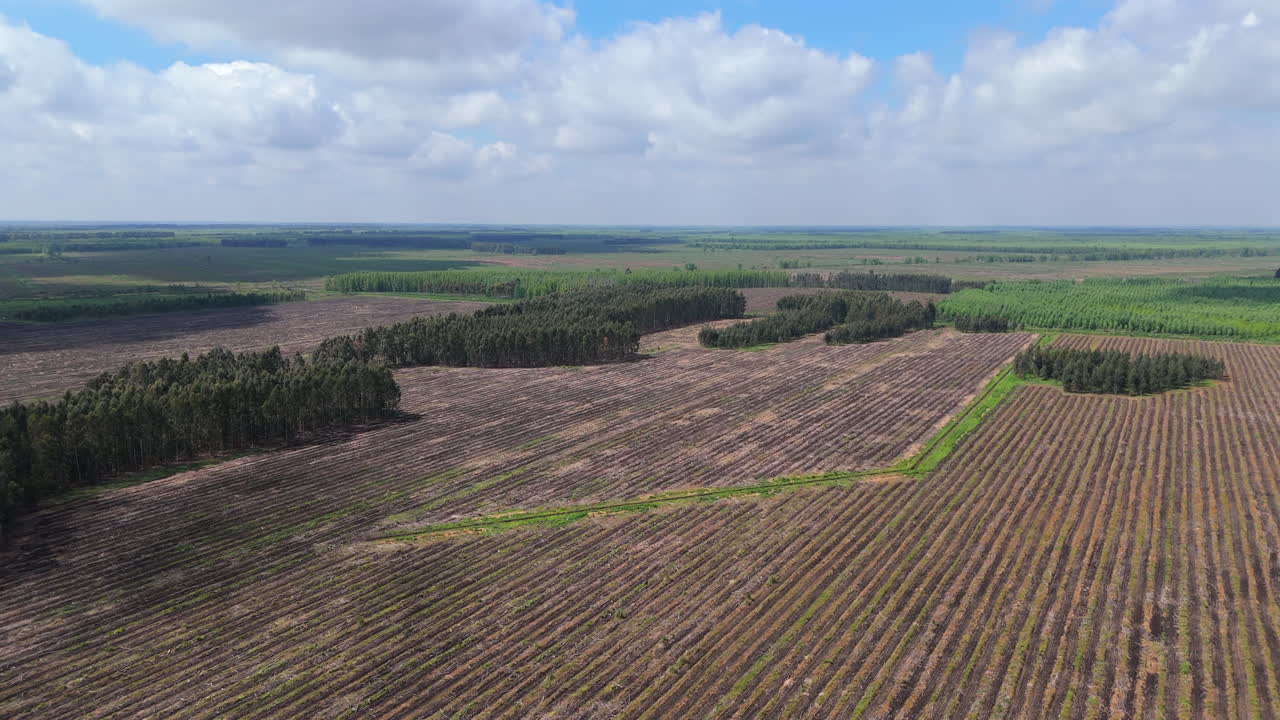 Aerial drone footage showing deforestation in a rural landscape, with cleared land for agriculture and forestry, highlighting the environmental impact