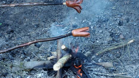 fresh sausage on stick frying on camp fire. summer roasting of sausages on fire. sausages on the stick grilled on the fire.