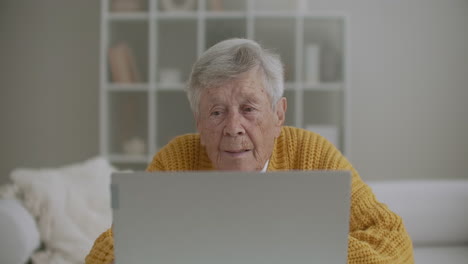 old woman talk with her granddaughter on video call using a laptop.video conference with a doctor