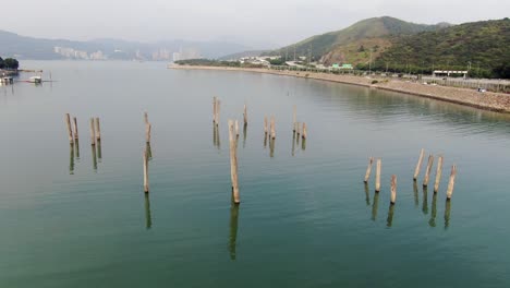 hong kong hidden bay in lantau island with old tree trunks sticking out of the water, aerial view