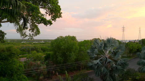 Aerial-drone-shot-through-the-tree-tops-to-reveal-a-sun-setting-behind-a-city-scape