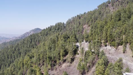 aerial view of a mountain road through a pine forest in ayubia national park, kpk, pakistan