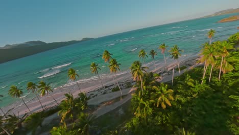 vuelo en fpv sobre una playa vacía con palmeras y el hermoso mar del caribe durante la puesta de sol dorada en el cielo - playa rincon, república dominicana