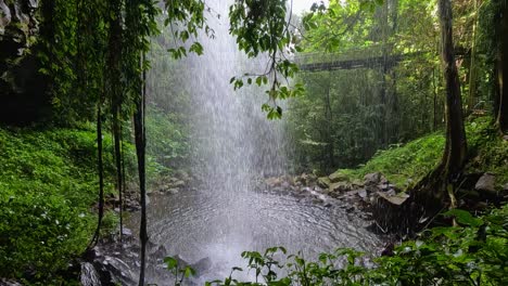 a tranquil waterfall cascades amidst lush greenery in dorrigo national park, captured in slow motion with natural lighting