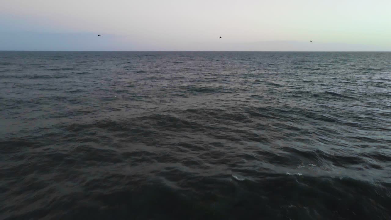 석양에 새가 푸른 해변 물 속으로 잠수하는 동안 파도가 밀려오는 넓은 샷