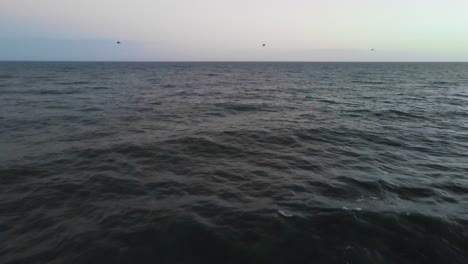 Wide-shot-of-waves-rolling-in-while-bird-dives-into-blue-beach-water-at-sunset