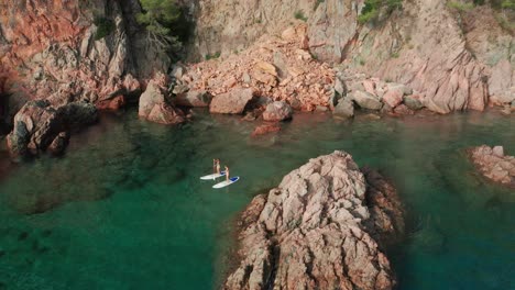 Mujeres-En-Forma-Flotando-En-Una-Tabla-De-Remo-En-El-Mar