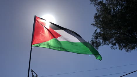 handheld close shot of the national flag of palestine waving in the wind