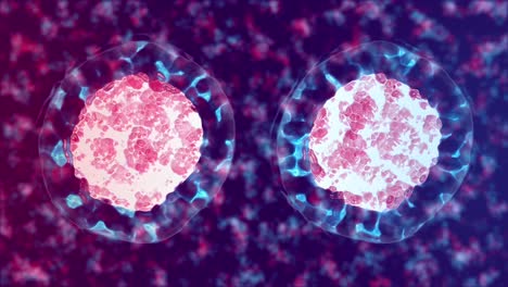 cell division, mitosis 3d animation