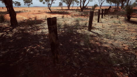 Pampas-with-barbed-wire-fence-and-dry-bushes