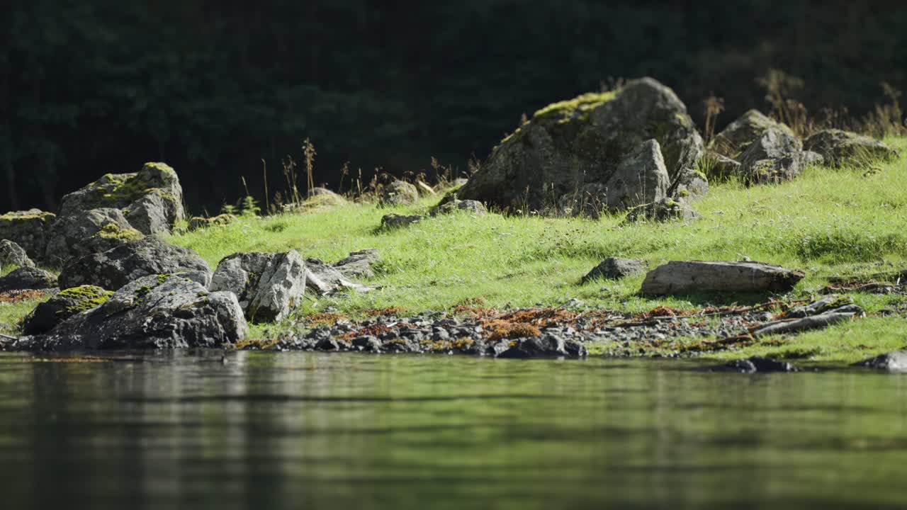 네로이 피오르드의 초록색 바위 해변