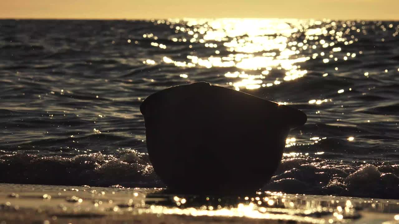 m1헬멧은 제2차 세계대전부터 pasgt헬멧으로 계승된 1985년까지 미군이 사용하던 전투헬멧이다.