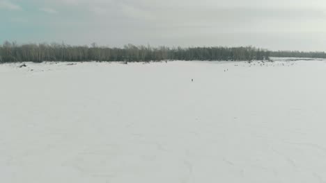 Superficie-Blanca-Ilimitada-Del-Río-Congelado-En-La-Vista-Aérea-Del-Bosque