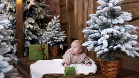 beautiful caucasian baby lies on the plaid among the christmas trees. cute child looking at present box in front of him.