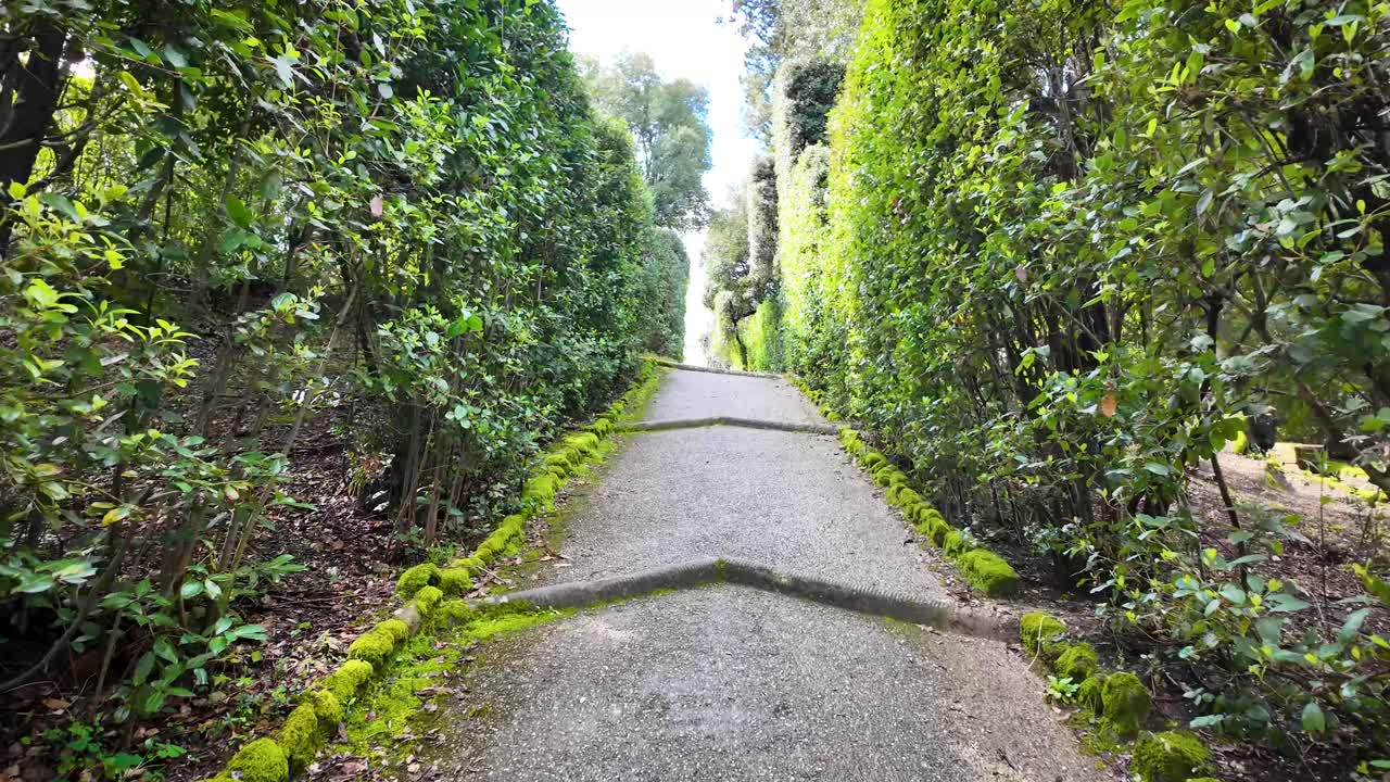 First-person walk through Boboli Gardens in morning light, behind Palazzo Pitti in Florence. Natural paths, sculptures and Renaissance design create a serene historic atmosphere