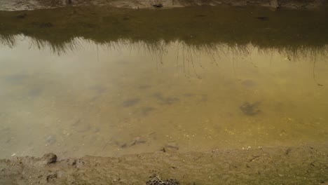 4k muddy river bed in a low tide with some water flowing down the river to the ocean