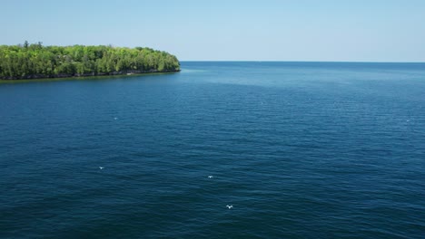 Drone-flight-over-a-flock-of-seagulls-in-door-county,-Wisconsin