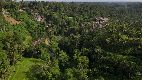 aerial drone footage of the picturesque ubud jungle embracing the four seasons resort bali at sayan