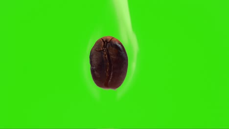 burning coffee bean roasted on flame with steam and green screen in background