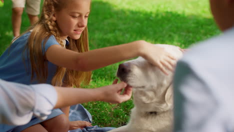 niña feliz acariciando labrador en un picnic en primer plano. los niños juegan con el perro en el prado