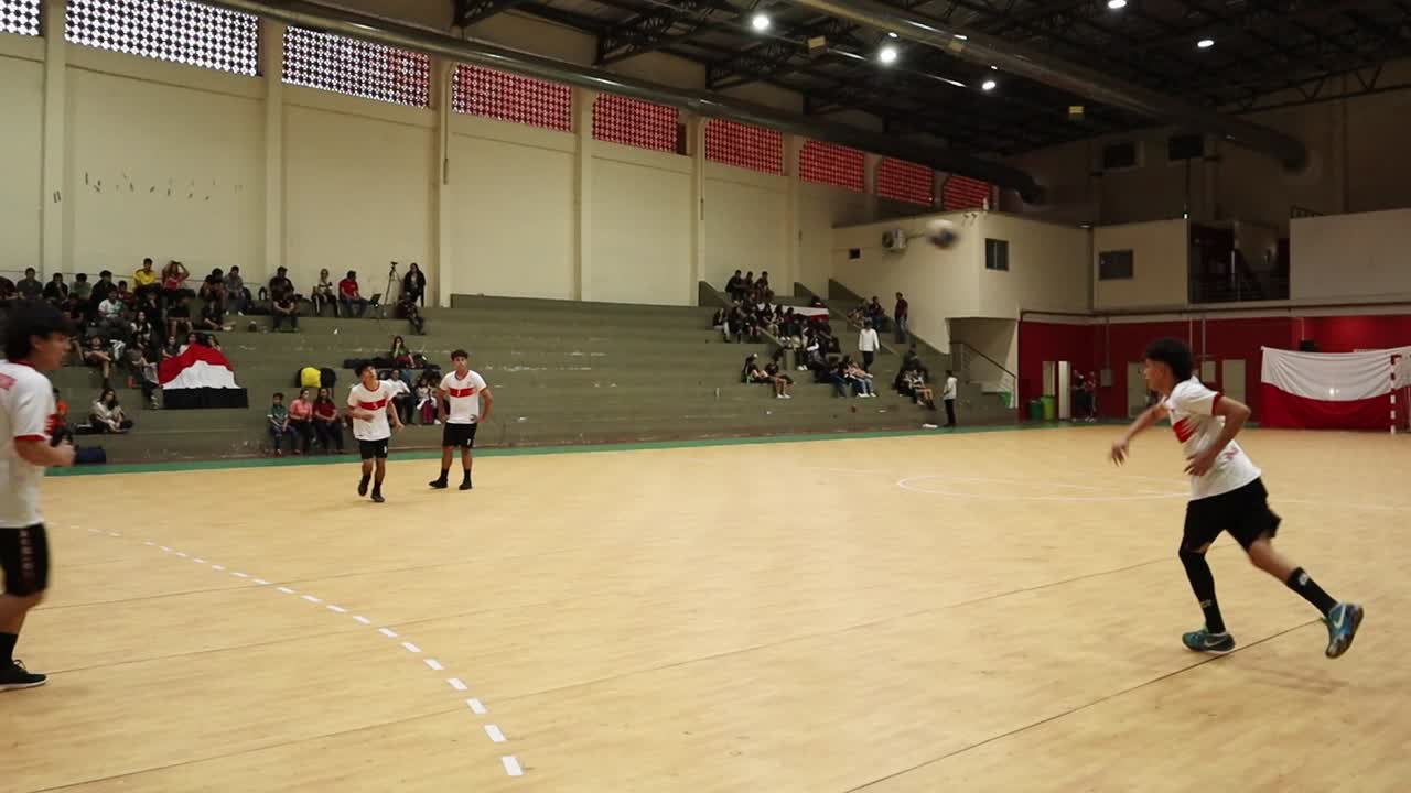 Editorial footage of a men's handball team warming up before a final match in an indoor stadium. A player runs, throws the ball, and is assisted by teammates during pre-game practice."
