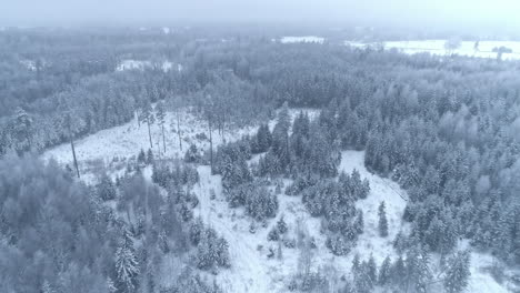 descending drone view over a snow covered forested winter landscape