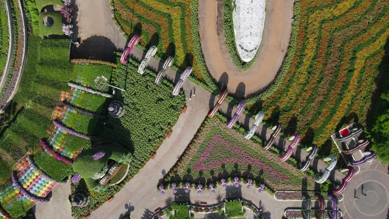 vista de drones del jardín milagroso, el jardín de flores naturales más grande del mundo con más de 150 millones de flores de más de 120 variedades