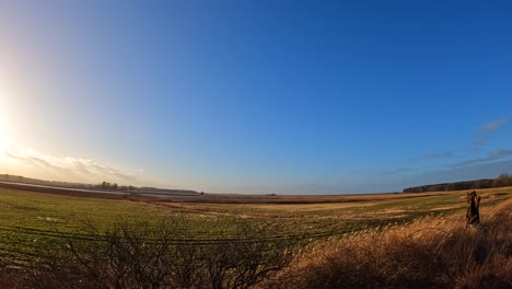 time lapse blue sky sunny day green yellow field windy mecklenburg western pomerania germany