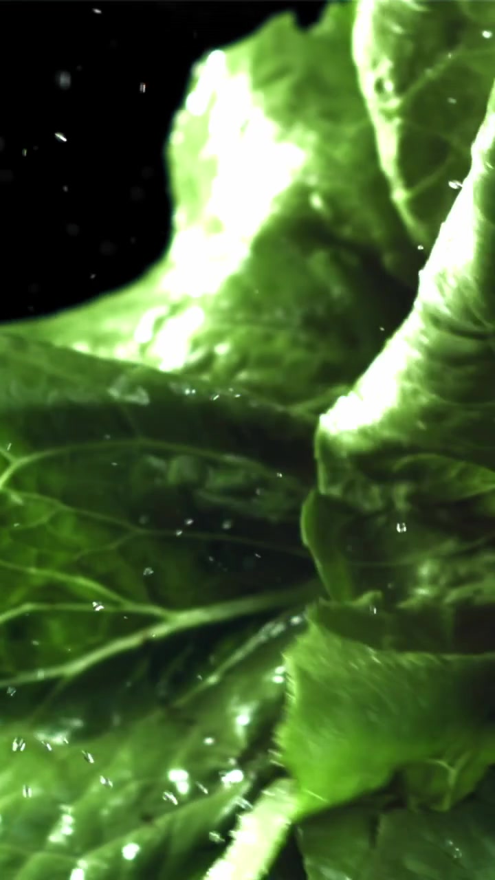 Goccioline d'acqua che cadono su foglie di lattuga verde fresca al rallentatore