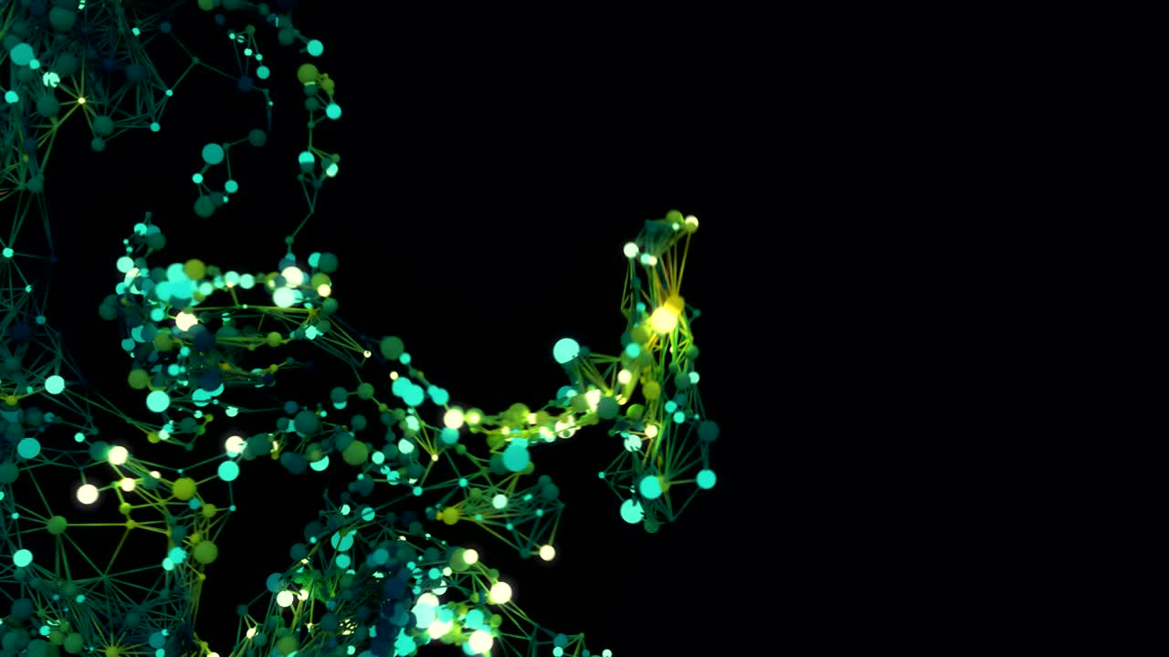 Molecular Network Growth.