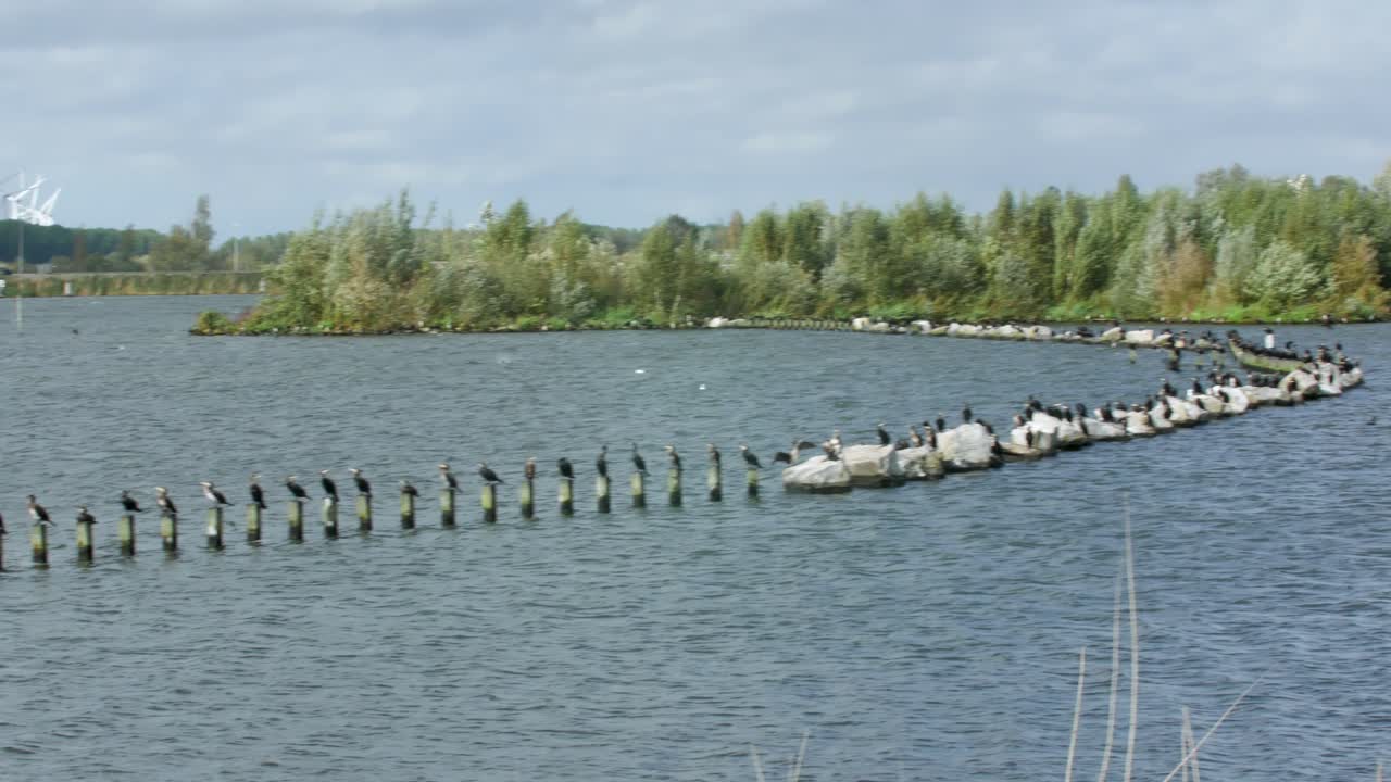 панорамный снимок