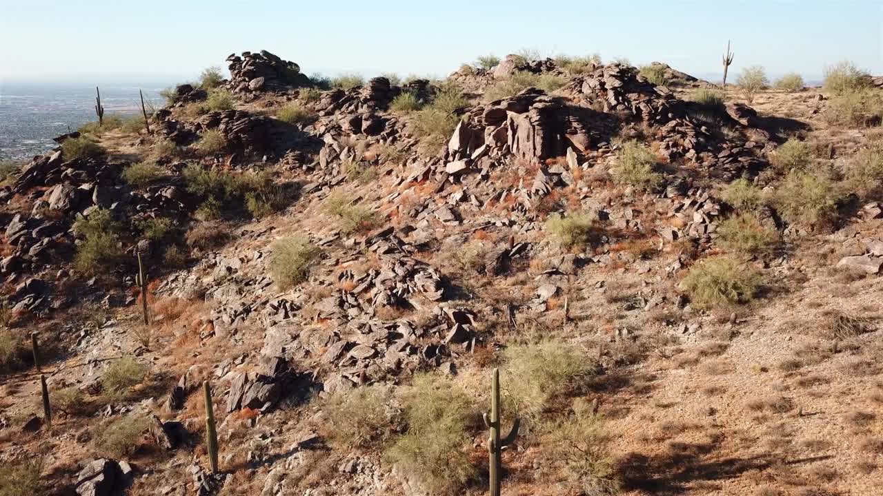 사구아로 투스 필드 (saguaro cactus field) 에서 포닉스 시 (phoenix city) 를 보여주는 공중 영상