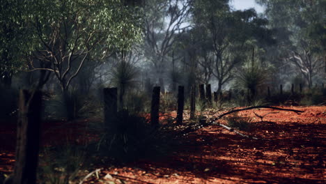 Dingoe-fence-in-the-Australian-Outback